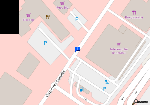 Carte Carrosserie Ruis