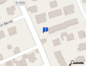 Carte Cedric Automobiles