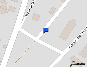 Carte Garage Du Razes Forto