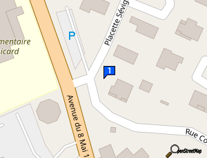 Carte Car Consulting