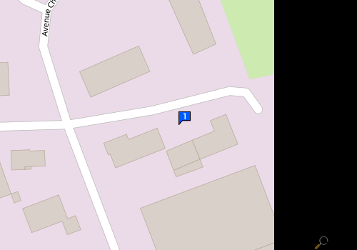Carte M Vitor Manuel Lopes Pereira Gomes