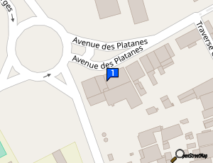 Carte Minervi Bianco Automobiles