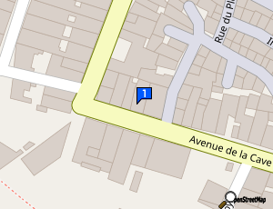 Carte Carrosserie Nissanaise