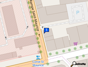 Carte Carrosserie Rampe Maurice