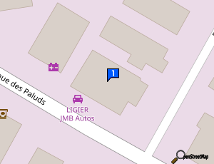 Carte Centre Automobile Les Paluds