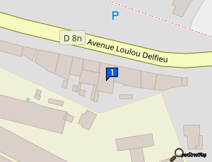 Carte Revolution Auto