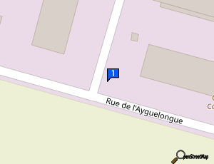 Carte World Safary Company