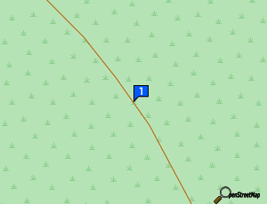 Carte Generation Racing Auto