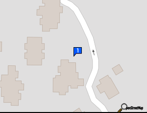 Carte Chip Performance