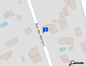 Carte X1 Racing Suspension