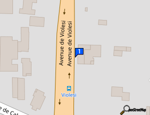 Carte Bouc Bel Air Auto