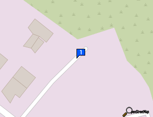 Carte Cosmeticar International