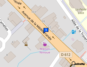 Carte Saint Amans Lavage