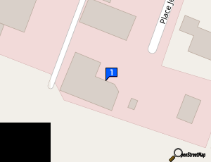 Carte Express Repair Car