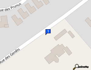 Carte Mogno Sports Automobiles