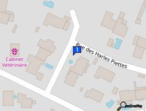 Carte Trucks Auto Glass