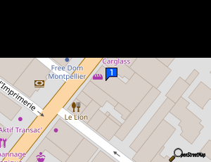 Carte Carglass S A S