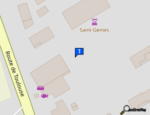 Carte Sarl Centre Auto St Genies