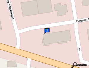 Carte Team Auto Services