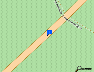 Carte Auto Solutions