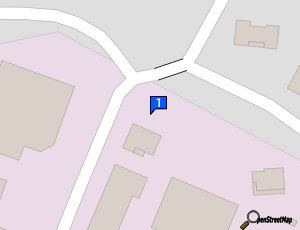 Carte Paint Car Express