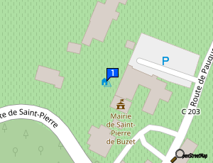 Carte Cgc Saint Pierre De Buzet