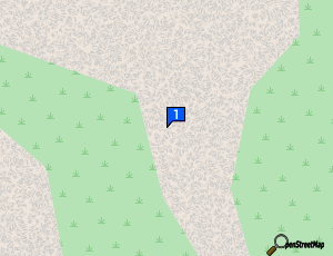 Carte Garage Patonnier