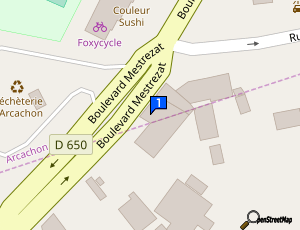 Carte Decout Pare Brise