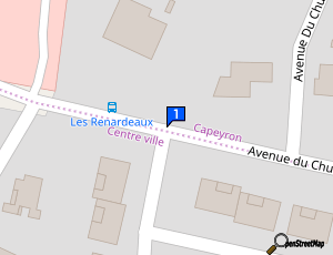 Carte Natural Gloss Concept