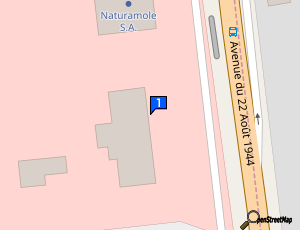 Carte Servizet Auto Susville