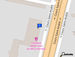 Carte Auto Teinte Protect