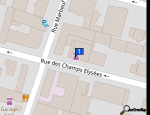 Carte Sarl Garage Des Champs Elysees