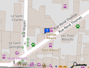 Carte Garage Ribeiro