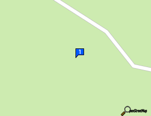 Carte Les Ratons Laveurs