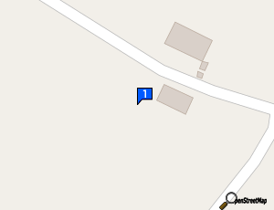 Carte Modern Electric Auto