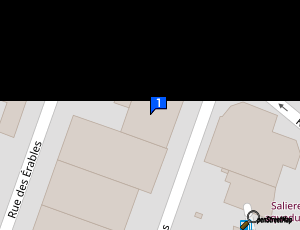 Carte Centre Auto Des Salines