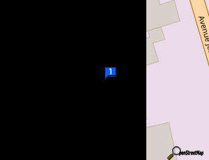 Carte Assistance Pare Brise