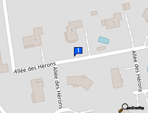 Carte Carbone Auto Racing