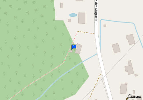Carte Auto 5