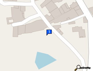 Carte Precision Rep Car