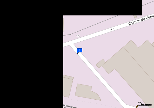 Carte S A S Hitch Net
