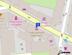 Carte Etablissements Deguillien