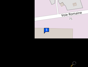 Carte Relais Service Craponne