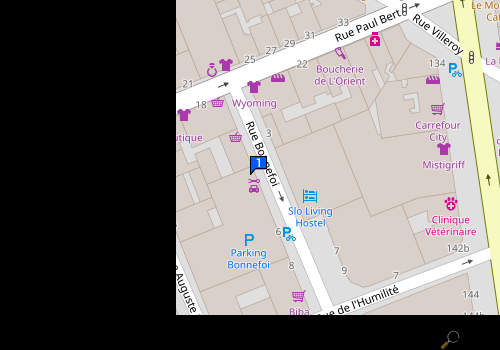 Carte Lyon Technicauto