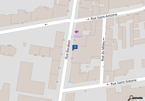 Carte Lyontint