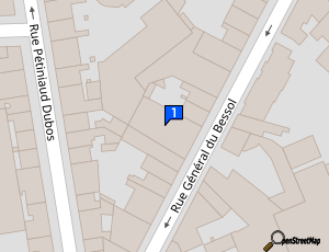 Carte Insolence Racing