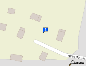 Carte 100 Bosses Anti Griff