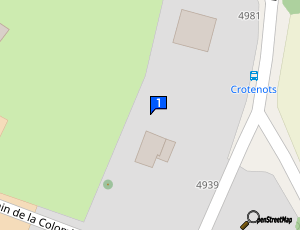 Carte M Race