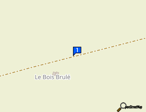 Carte Steam Clean Auto