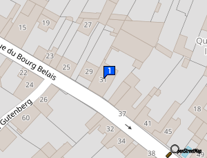 Carte Gatine Pare Brise